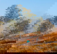 Kambah Pool to Pine Island Walking Trail - Accommodation Gladstone