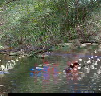 Kerewong State Forest - Accommodation Gladstone