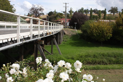 Kurt Fearnly Park - Accommodation Gladstone 2