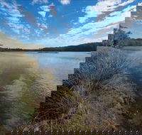 Lake Innes Nature Reserve - Accommodation Gladstone