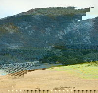 Langi Ghiran State Park - Accommodation Gladstone