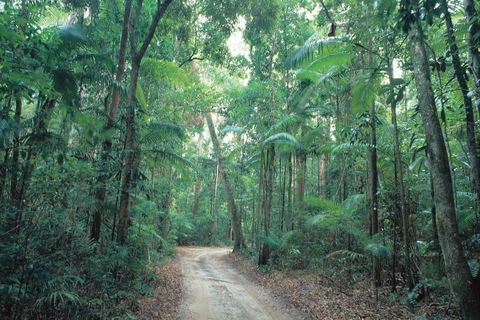 Lawn Hill - Accommodation Gladstone 0