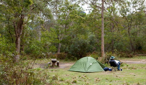 Long Gully Picnic Area - Accommodation Gladstone 0