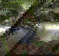 Marriotts Falls and Junee Caves - Accommodation Gladstone