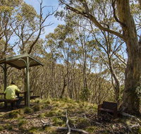 Mount Barrington picnic area - Accommodation Gladstone