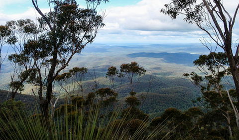 Mount Imlay National Park - Accommodation Gladstone 0