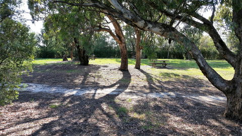 Mt Lindsay Rotary Park - Accommodation Gladstone 1