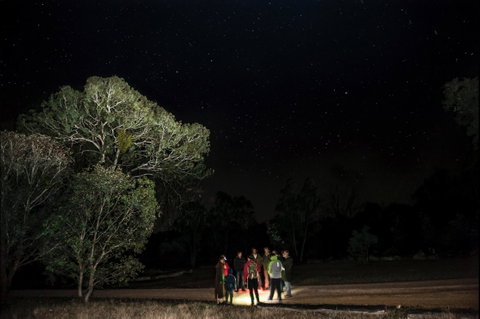 Mulligans Flat Woodland Sanctuary - Accommodation Gladstone 1