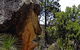 Mystery Face Walking Track - thumb 0