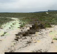 Ngarkat Conservation Park - Accommodation Gladstone