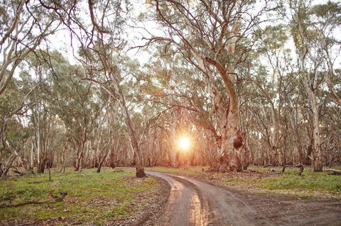 Nyah Vinifera Park - Accommodation Gladstone 1