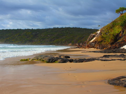 One Man Bluff - Accommodation Gladstone 1