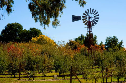 Orange Botanic Gardens - Accommodation Gladstone 2