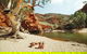 Ormiston Gorge - thumb 0