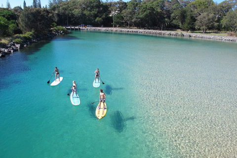Paddleboard At Back Creek South West Rocks - Accommodation Gladstone 0