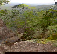 Pigeon House Mountain Didthul Walking Track - Accommodation Gladstone