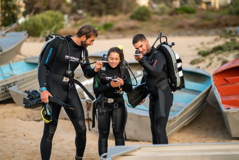 Pro Dive Coogee - Accommodation Gladstone 1