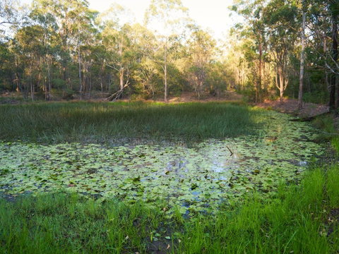 Raysource Road - Accommodation Gladstone 2
