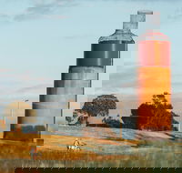 Rutherglen Wine Bottle - Accommodation Gladstone