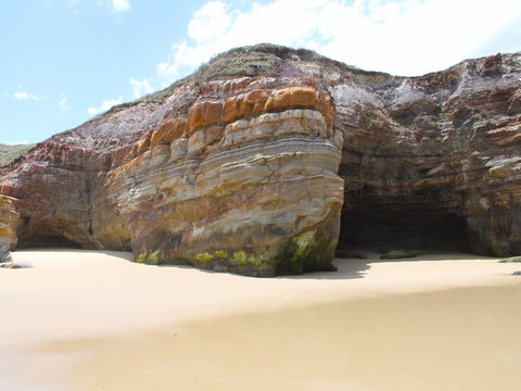 Shelley Caves - Accommodation Gladstone 0