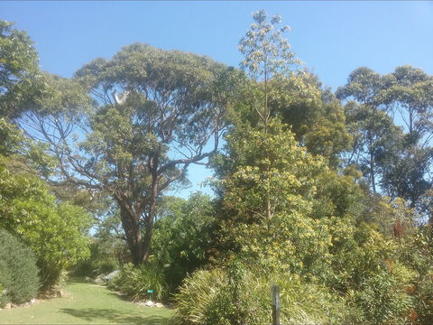 Shoalhaven Heads Native Botanic Garden - Accommodation Gladstone 1