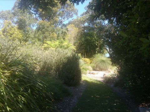 Shoalhaven Heads Native Botanic Garden - Accommodation Gladstone 2