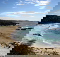 Snorkelling Mystery Bay - Accommodation Gladstone