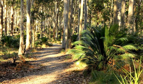 Square Head Track 2 - Accommodation Gladstone 0