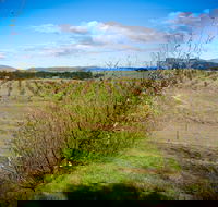 Tarago Truffles - Accommodation Gladstone