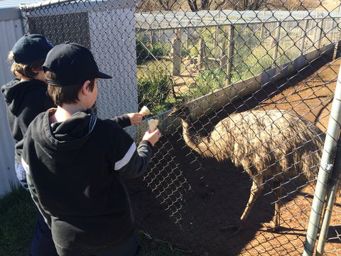 Taralga Wildlife Park - Accommodation Gladstone 2