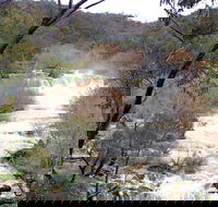 The Falls Water Falls - Accommodation Gladstone