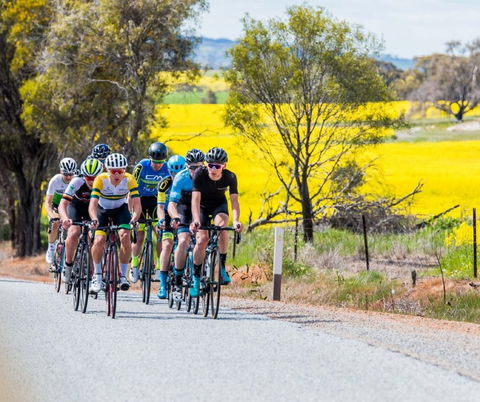The West Side Story - Avon River Cycle Trail - Accommodation Gladstone 1