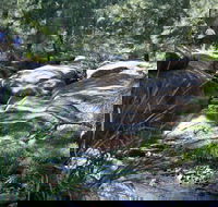 Towarri National Park - Accommodation Gladstone