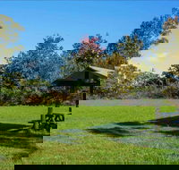 Tunks Hill picnic area - Accommodation Gladstone