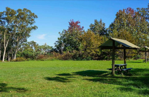 Tunks Hill Picnic Area - Accommodation Gladstone 0
