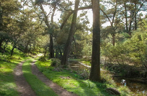 Turon National Park - Accommodation Gladstone 0
