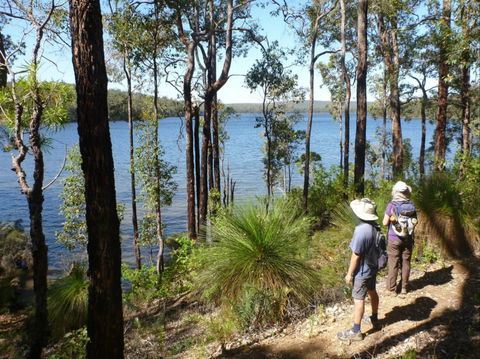 Wellington Discovery Forest - Accommodation Gladstone 0