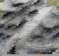 Windara Reef - Accommodation Gladstone