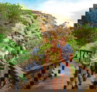 Woody Island Nature Reserve - Accommodation Gladstone