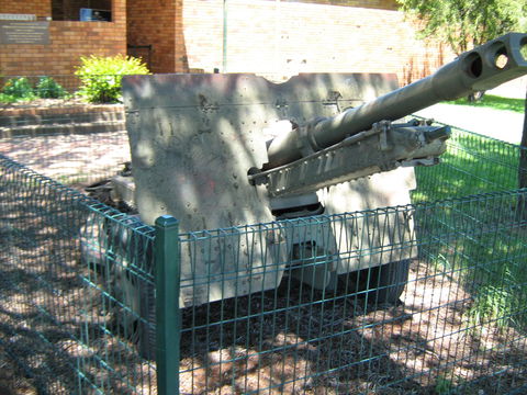 Woodpecker Gun - Accommodation Gladstone 1