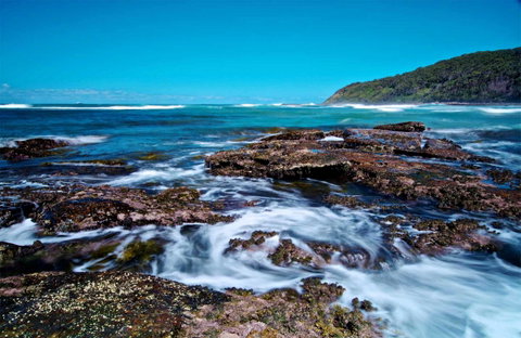Wyrrabalong National Park - Accommodation Gladstone 0