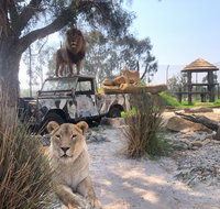 Zambi Wildlife Retreat - Accommodation Gladstone