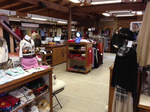 Australian Alpaca Barn - Pokolbin - Accommodation Gladstone 1