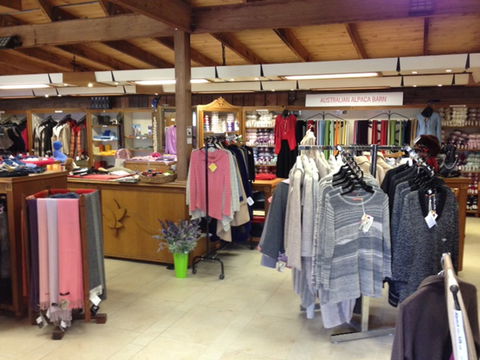 Australian Alpaca Barn - Pokolbin - Accommodation Gladstone 2