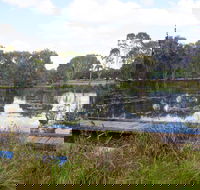 Baldwin Swamp Environmental Park - Accommodation Gladstone
