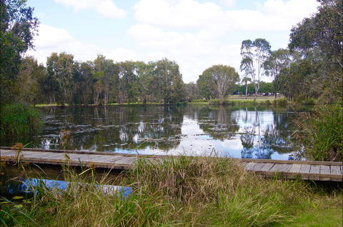 Baldwin Swamp Environmental Park - Accommodation Gladstone 0