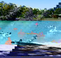 Black Diamond Lake - Accommodation Gladstone