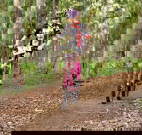 Bom Bom State Forest Mountain Bike Trails - Accommodation Gladstone