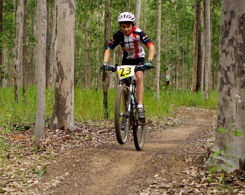 Bom Bom State Forest Mountain Bike Trails - Accommodation Gladstone 1