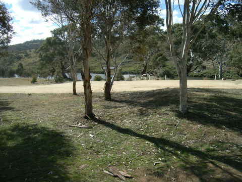 Bombala Platypus Reserve - Accommodation Gladstone 0